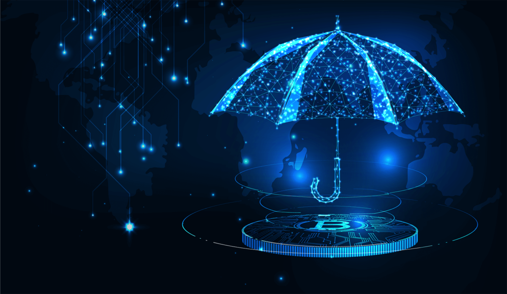 ¿Cómo puedo asegurar la criptomoneda ahora?