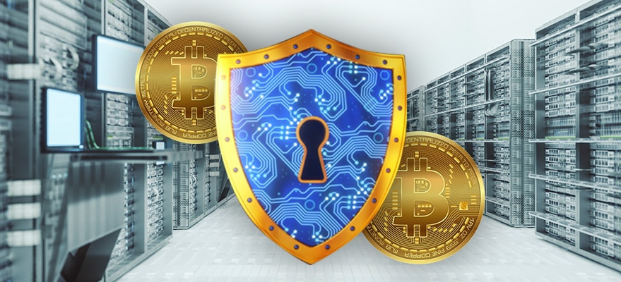 ¿Cómo puedo asegurar la criptomoneda ahora?