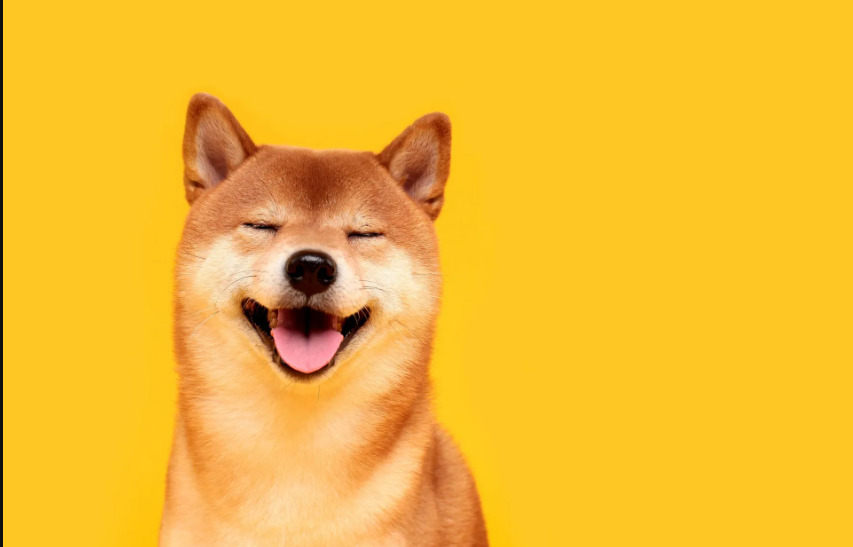 Qué es dogecoin criptomoneda