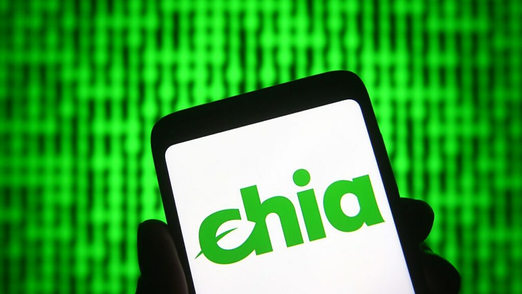 Qué es la red chia