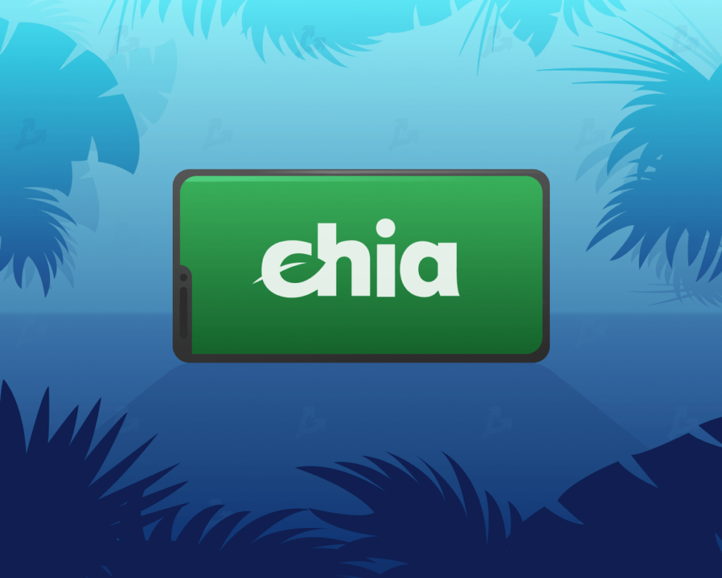 ¿Es rentable la chía? Qué es la red chia