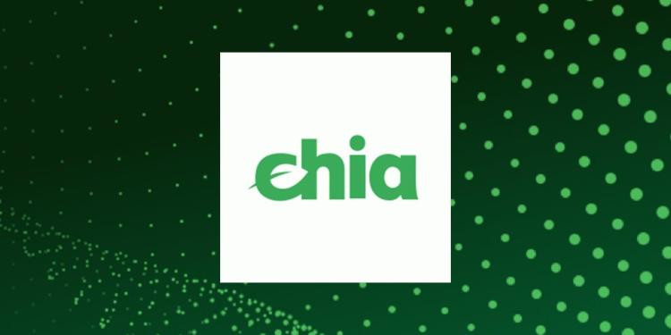 ¿Puedo ganar dinero con Chia Coin? valor chia coin