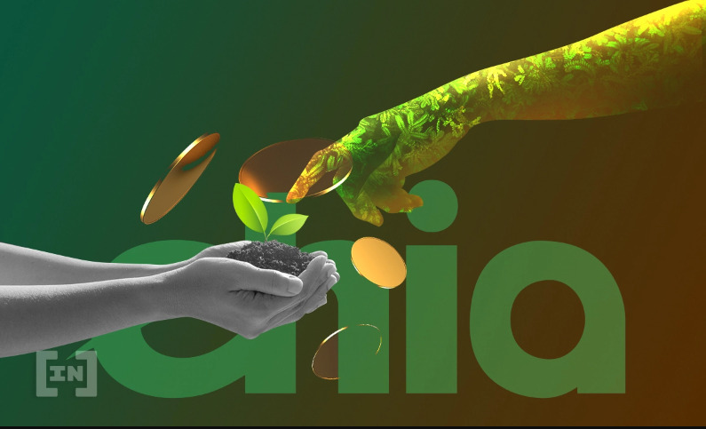 ¿Cuánto vale la criptomoneda chia coin value?