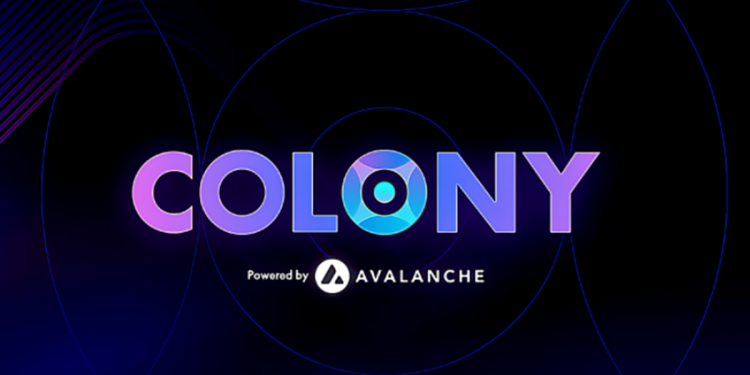 ¿Cómo puedo comprar Colony Clay?