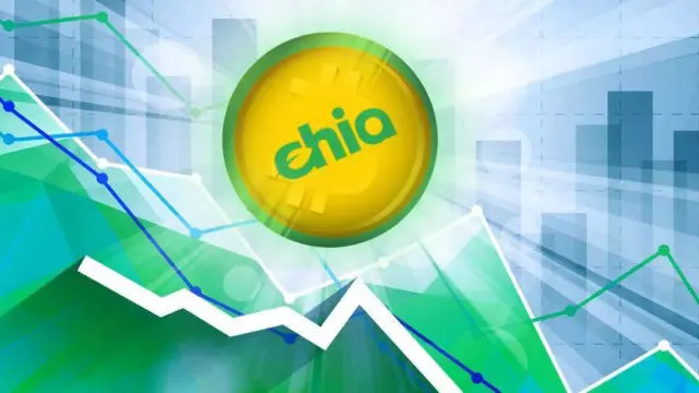 valor chia coin