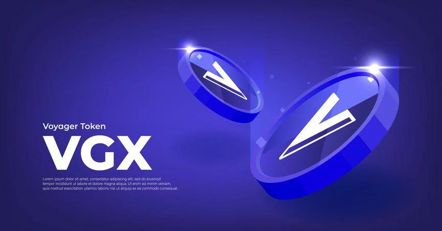 Plataforma criptográfica Voyager