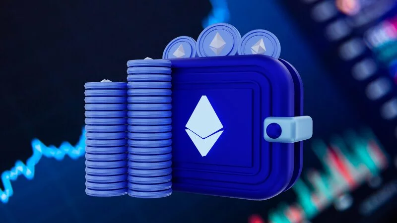 Monedero caliente vs monedero frío